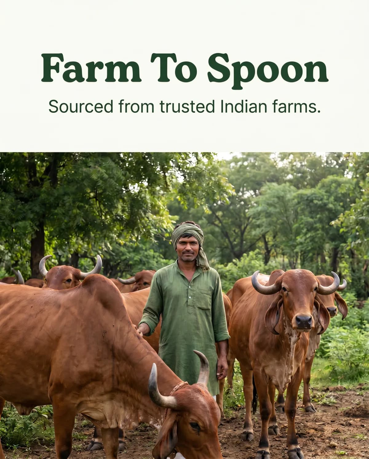 Ghee from named desi cows